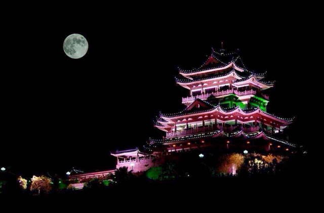 汉斯小姐③⑨℃