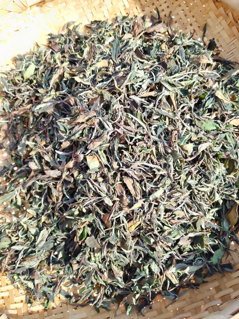 白茶—白牡丹的做法