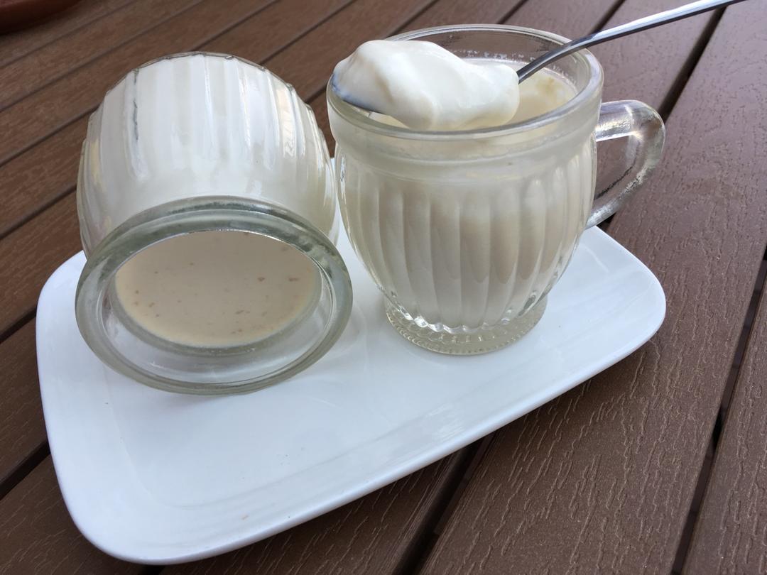 自制特浓酸奶