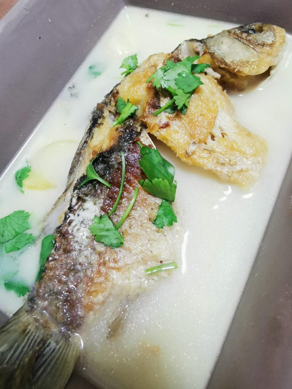 清炖鲫鱼汤 三个关键步骤让你轻松炖出汤浓味鲜色白似奶的鲫鱼汤