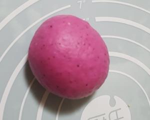 火龙果芝士葡萄 蔓越莓干软欧包的做法 步骤7