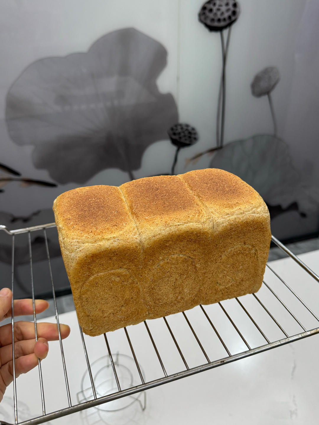 #免揉吐司 无油无糖全麦吐司🍞