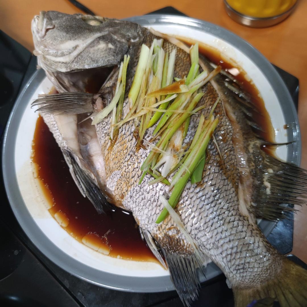 【0449】清蒸黑翅鱼（黑鲷鱼） <302小厨房>