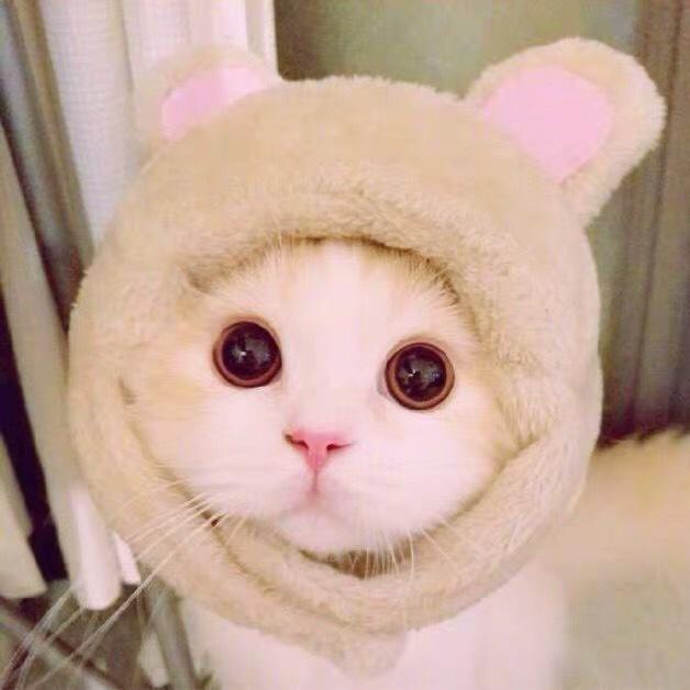 三井不瘦