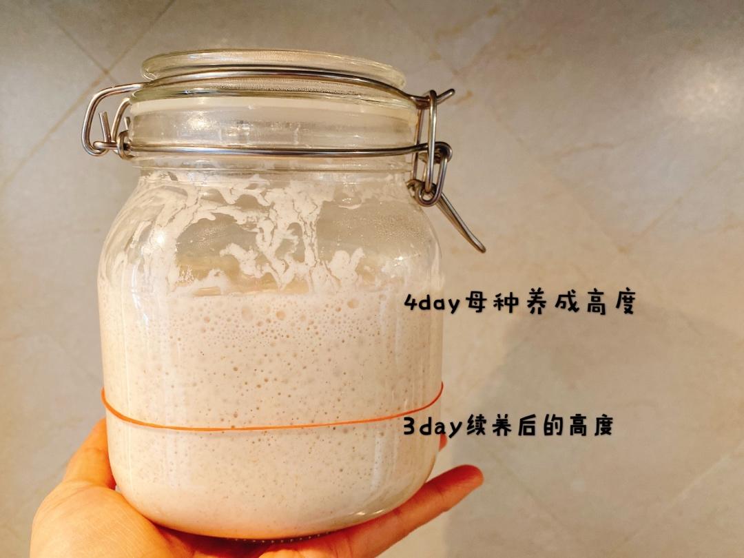 鲁邦液种