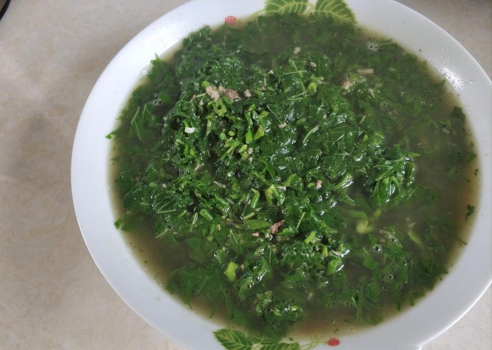 美容养颜简单易学——高汤桑叶