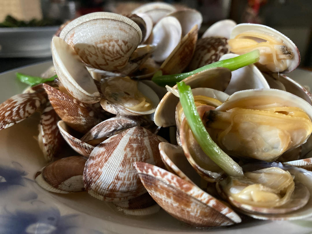 葱炒花蛤