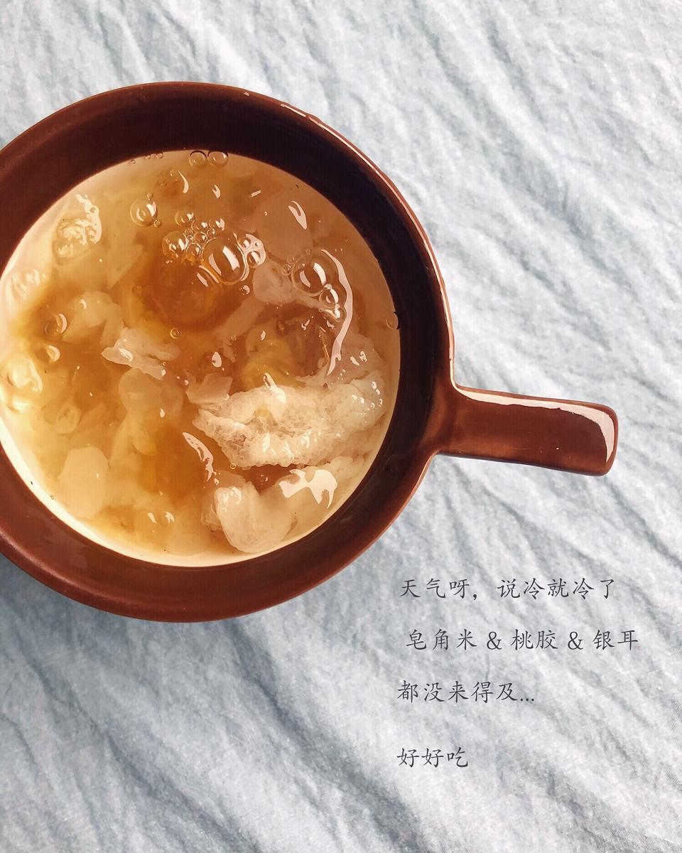 桃胶皂角米炖银耳