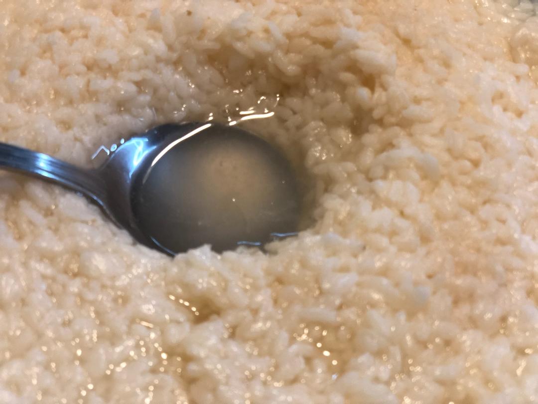 酒酿 (酒酿系列一）