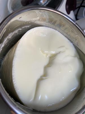 自制无糖脱脂酸奶，口感不输奶油冰淇淋/热量估算公式的做法 步骤6