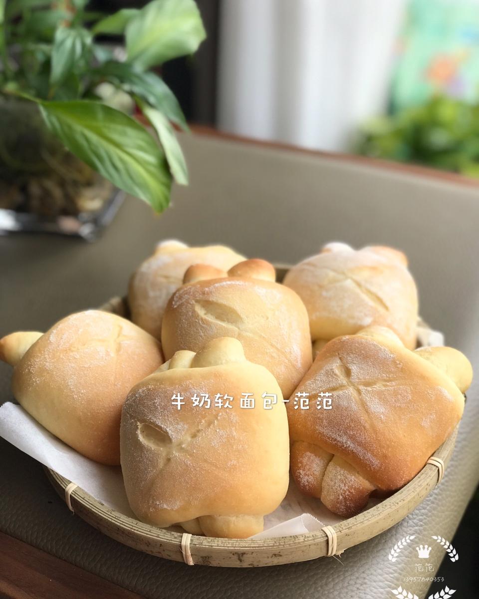 牛奶软面包