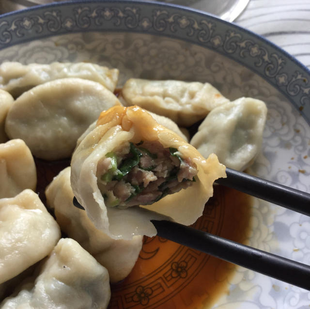 韭菜猪肉饺子(最简单最好吃又最多汁的饺子)