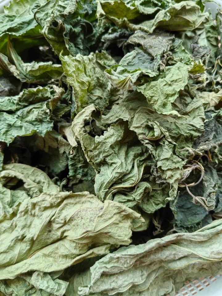 桑叶茶-简单易操作