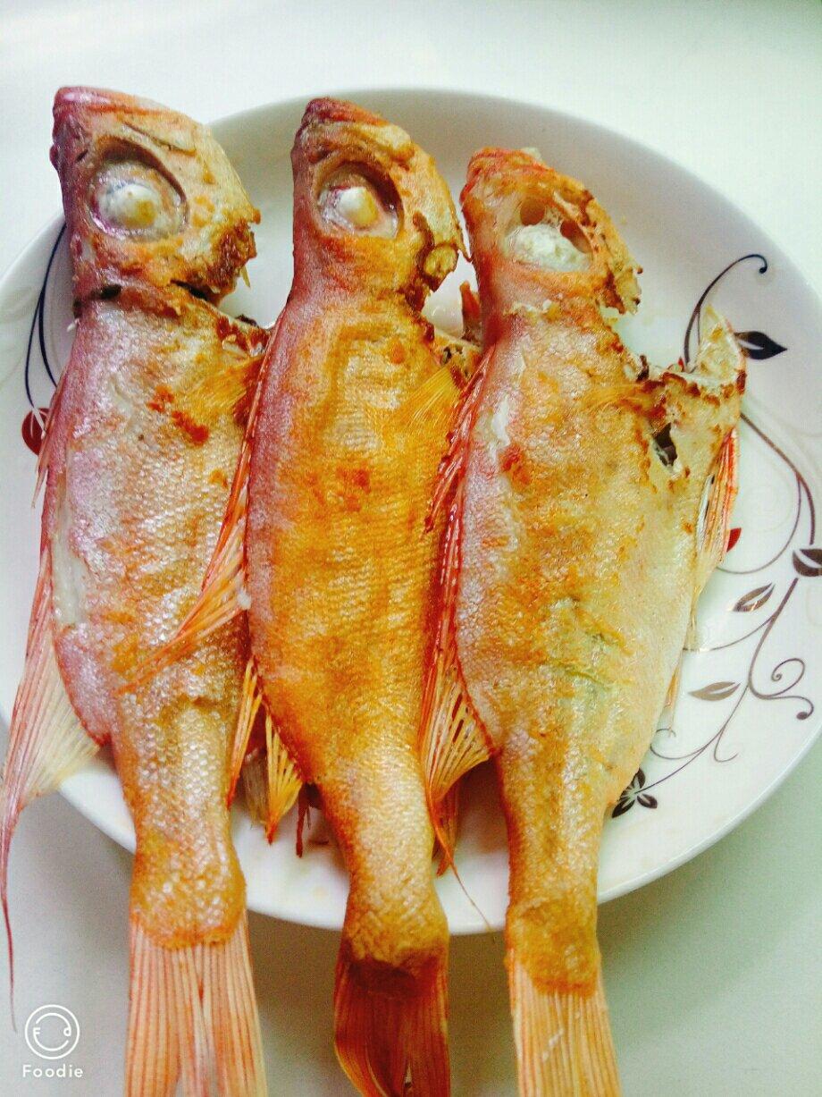 生煎大眼鱼的全部作品