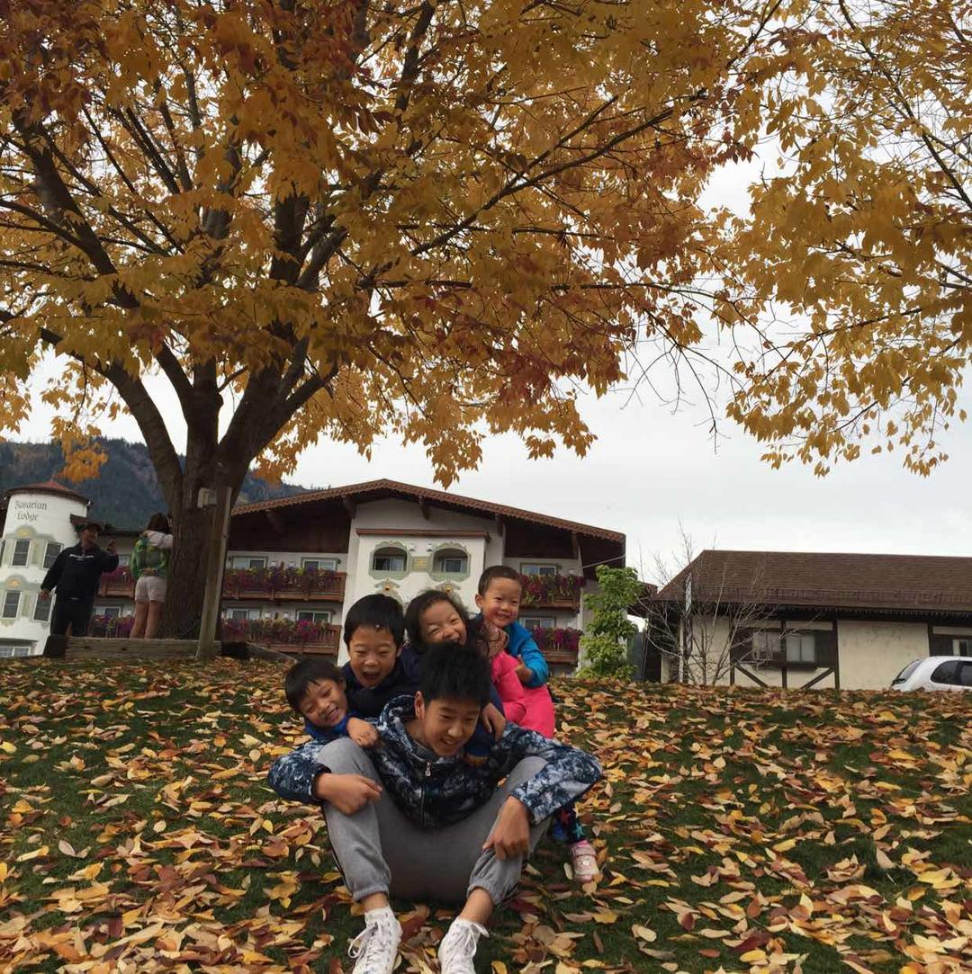 手机用户2387_nh2i