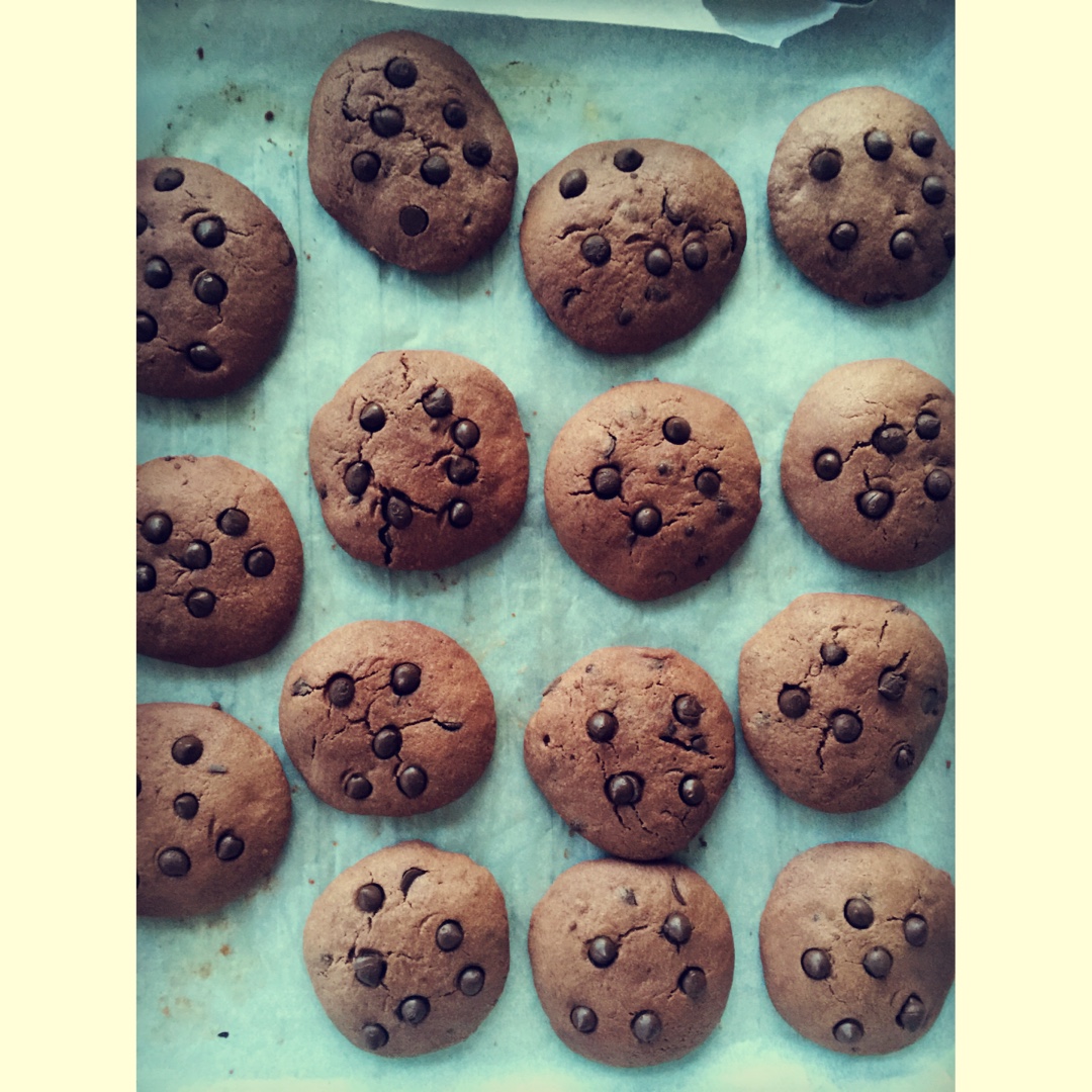 趣多多巧克力豆饼干