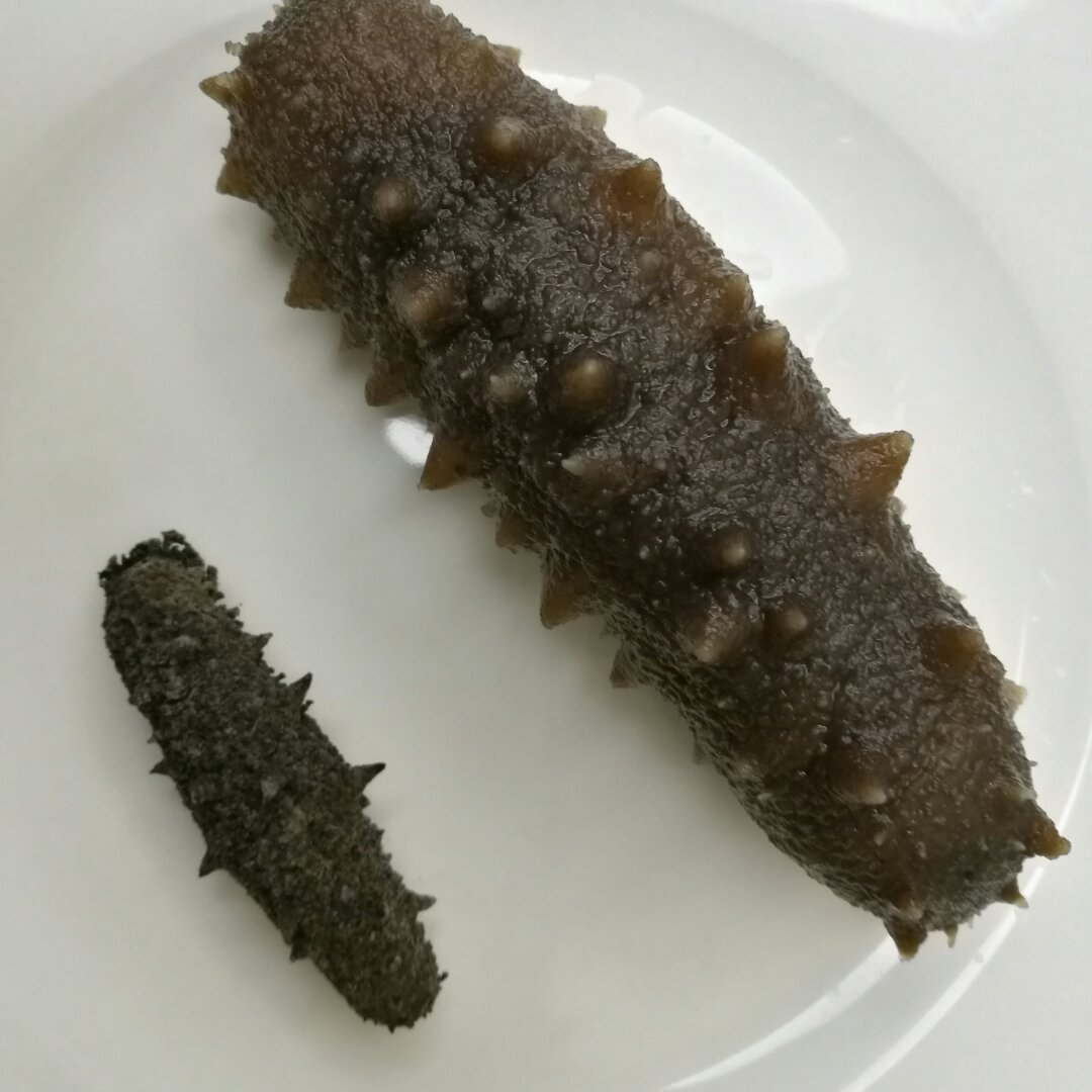海参泡发攻略