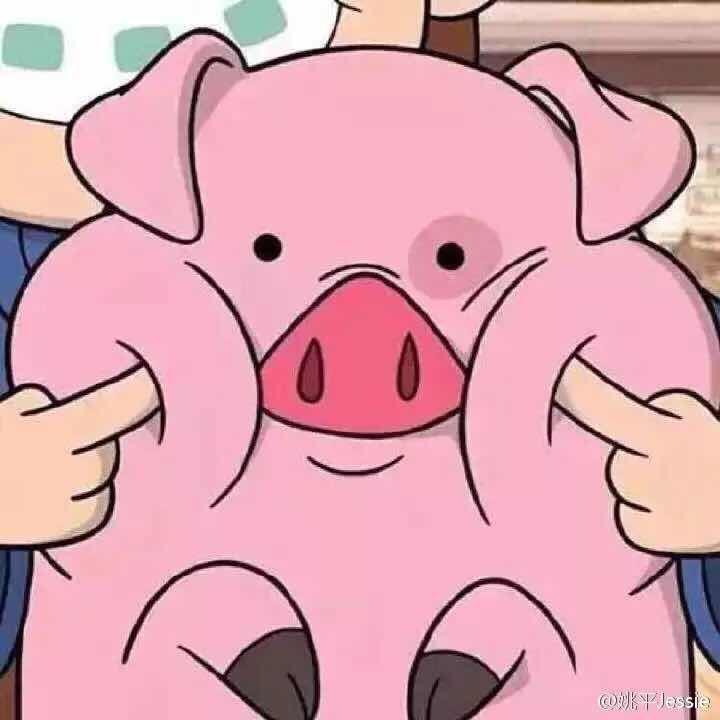 可爱熊77