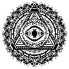 画画的小白鸽