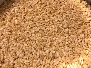发芽糙米 玄米 的做法步骤图 怎么做好吃 Vi小厨 下厨房 发芽糙米 玄米 的做法步骤图 怎么做好吃 Vi小厨 下厨房