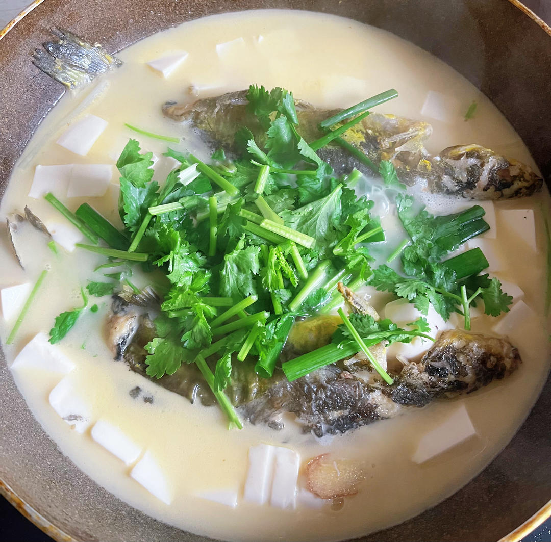 鲜掉眉毛的->昂刺鱼豆腐汤