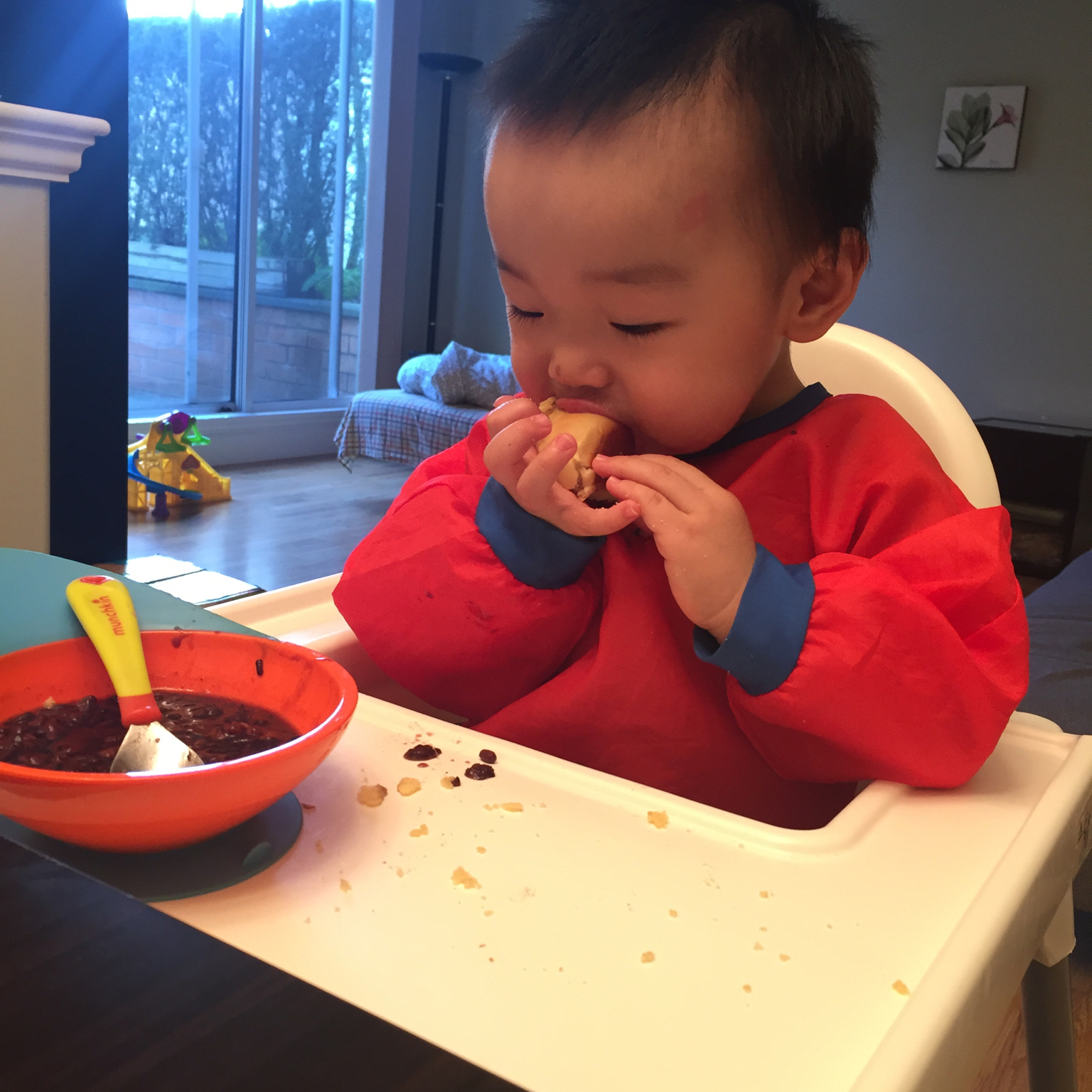 Ollie的辅食