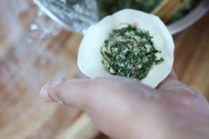 韭菜鸡蛋馅肉水饺的做法 步骤12