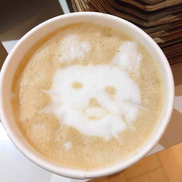 咖啡拉花（自用）