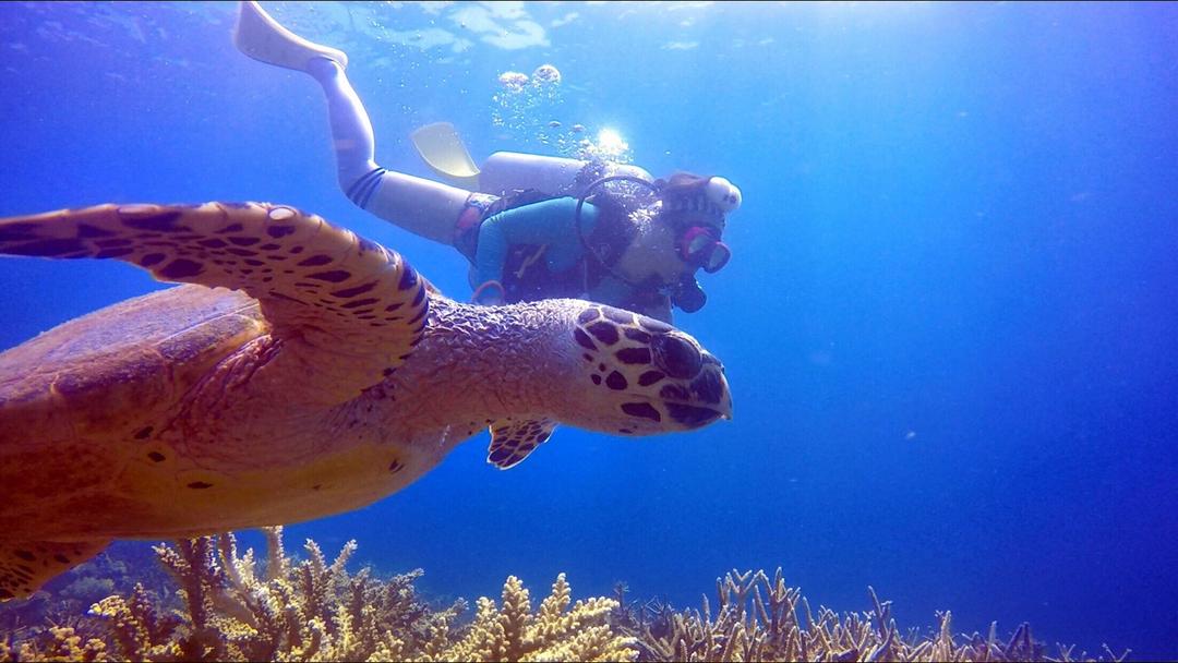 肉媛媛魔法菜单