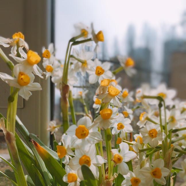 冰糖葫芦的小厨房