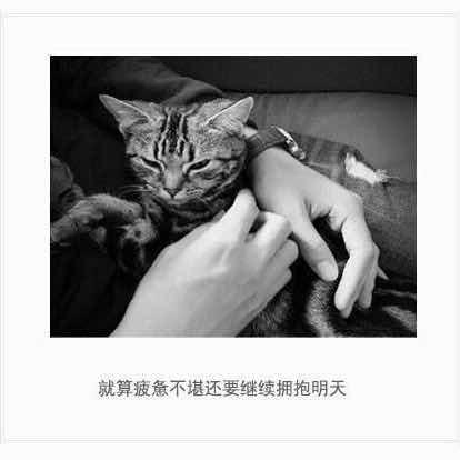 芹芹啃啃-