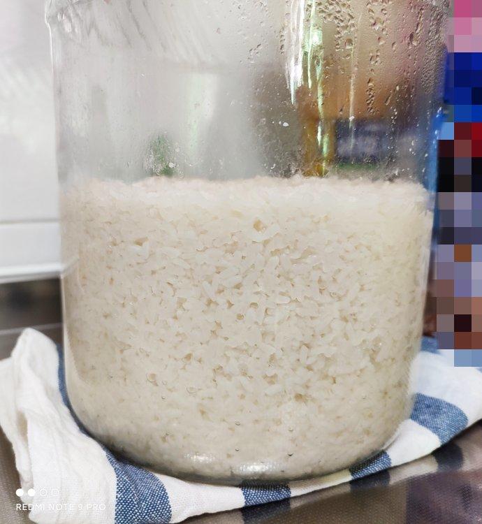 酒酿 (酒酿系列一）