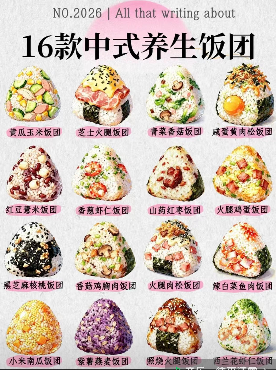 16款养生饭团