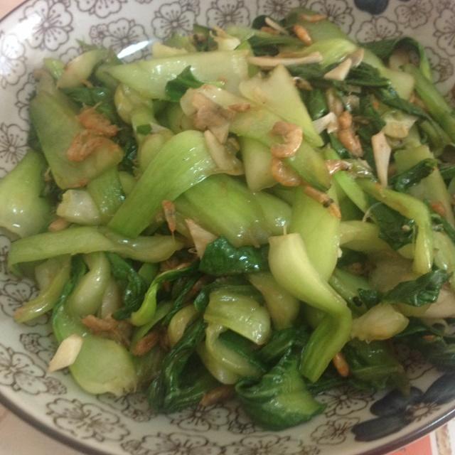 南极磷虾小油菜