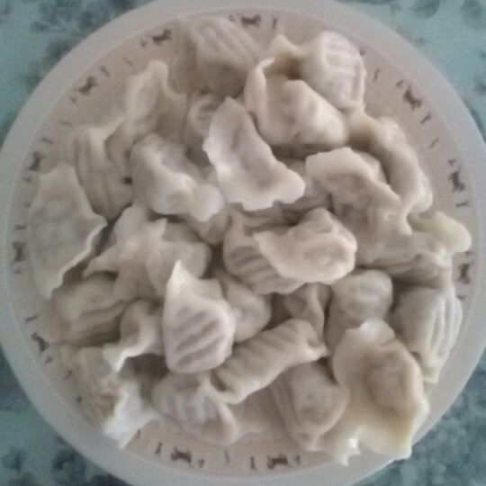 韭菜猪肉饺子(最简单最好吃又最多汁的饺子)