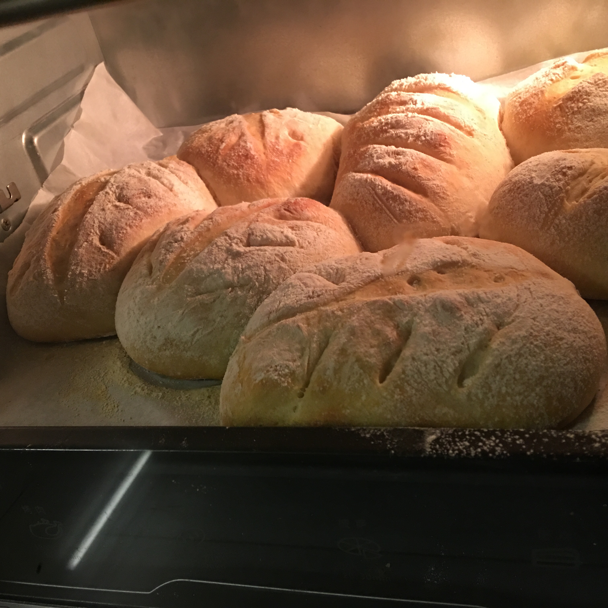 全麦核桃包～软欧包