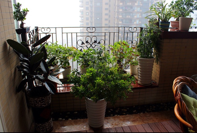 厨房、餐桌、阳台上的鲜花