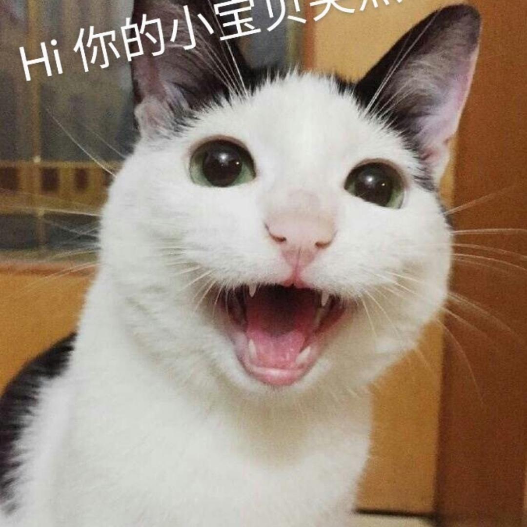 vvivianddhi@gmail.com