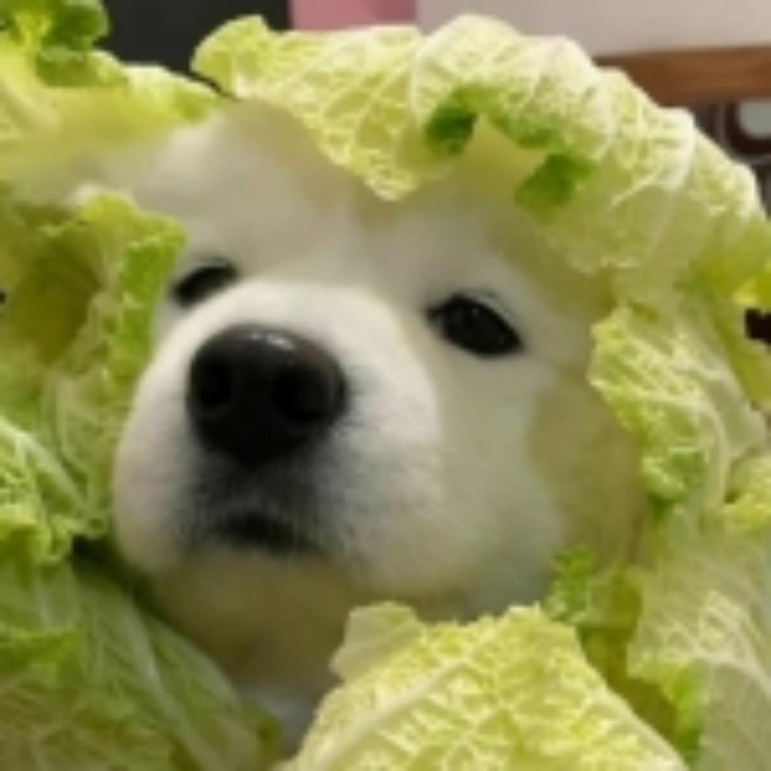 不爱做饭的大北瓜