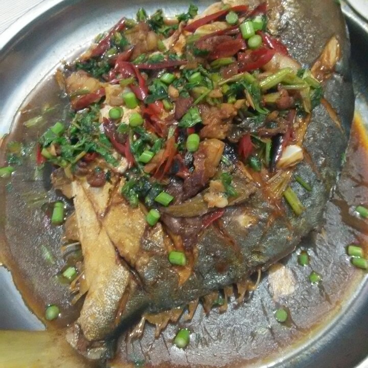 干烧昌鱼 GanShao Fish