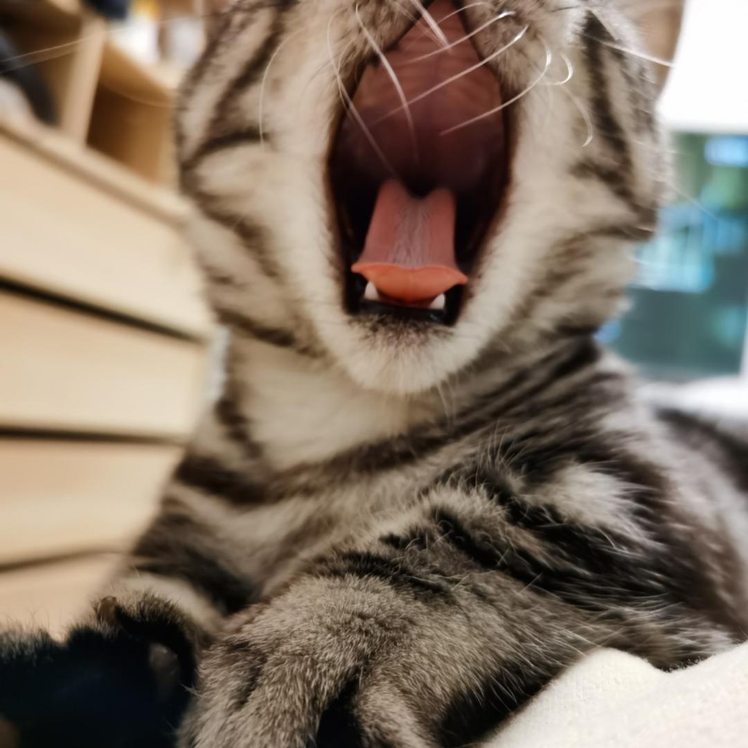 手机用户5232_pvoi