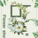 家有两宝的胖妈妈