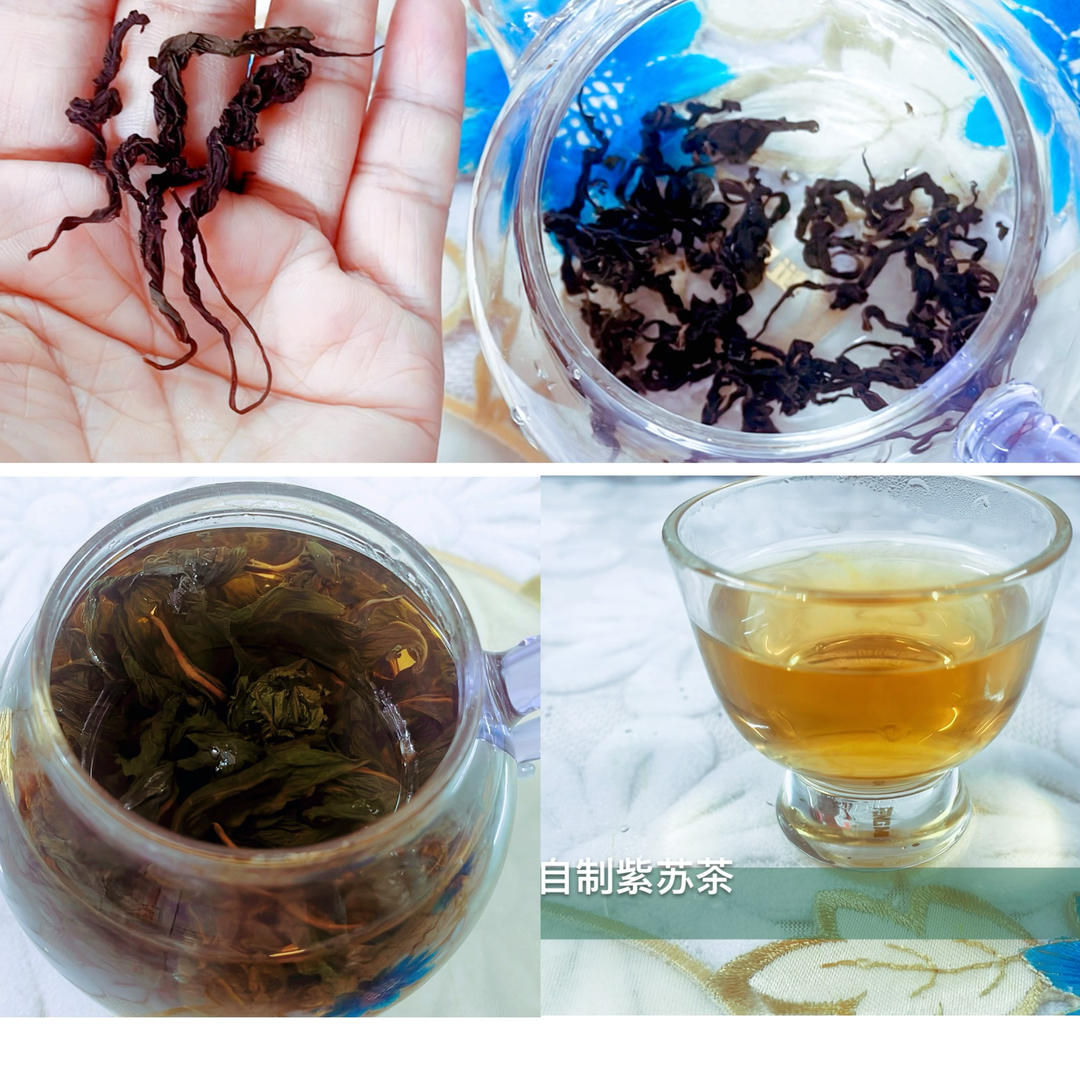 🪭新鲜紫苏做紫苏茶叶○自制茶叶