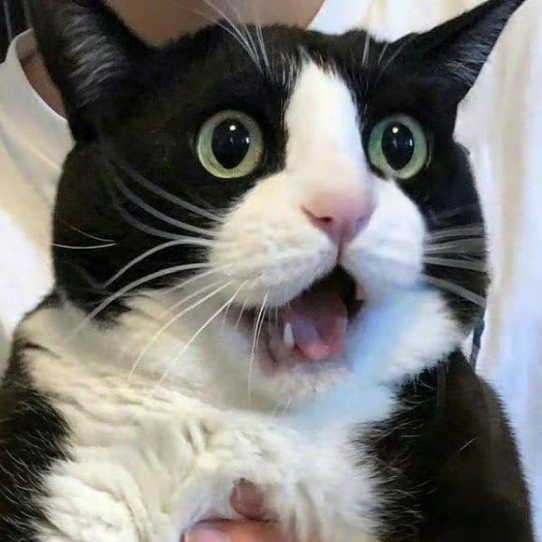 晴晴晴晴很多晴