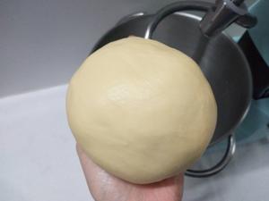 快手椰蓉小餐包㊙️一次发酵，柔软好吃的做法 步骤6