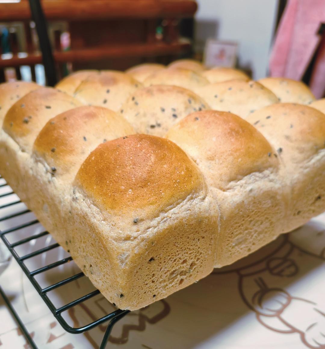 波兰种全麦面包🍞