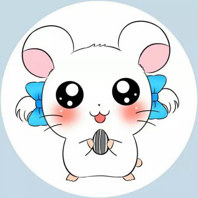 kitty123