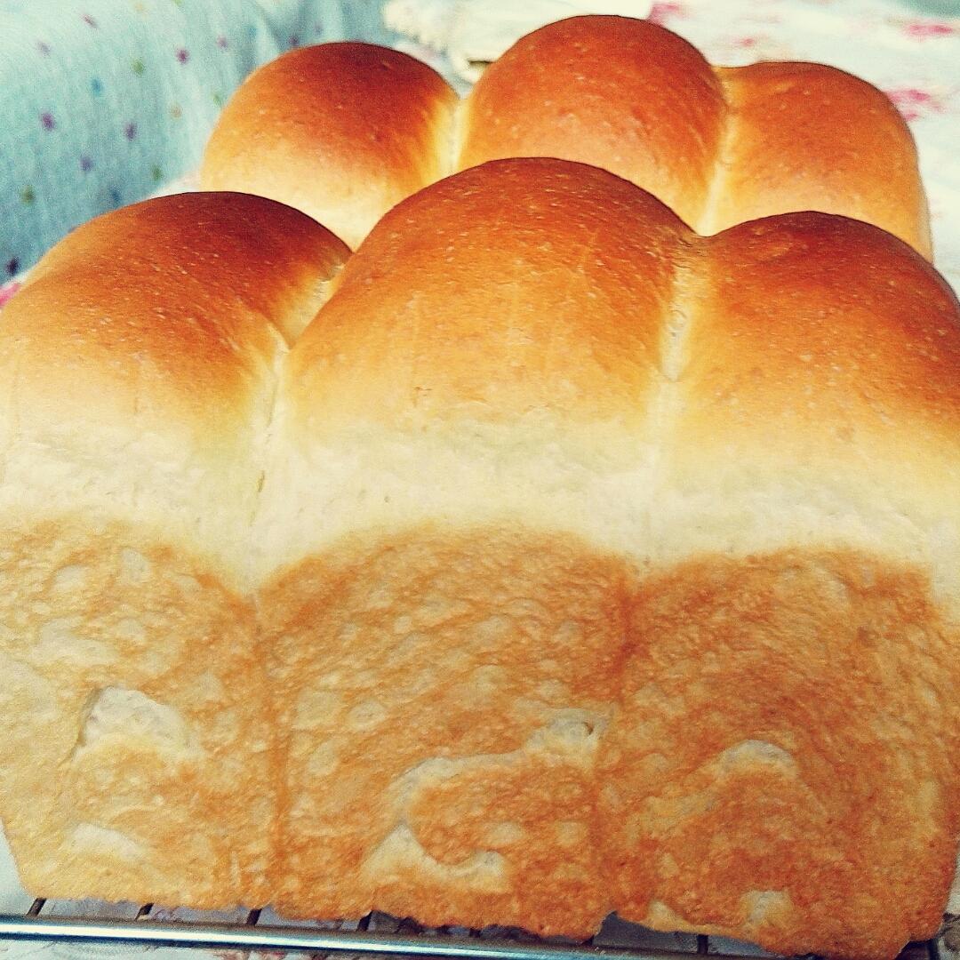 简简单单白吐司（玉米油）