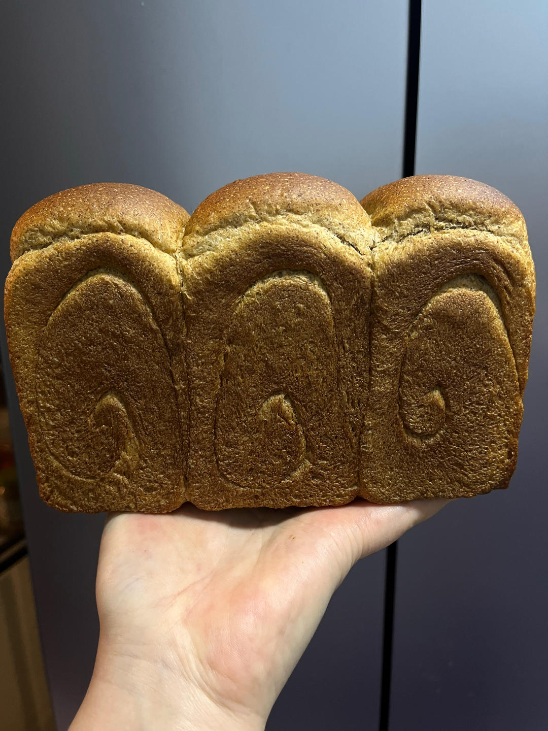 超柔软｜65度汤种｜全麦吐司｜目前为止吃过最好吃的全麦吐司没有之一