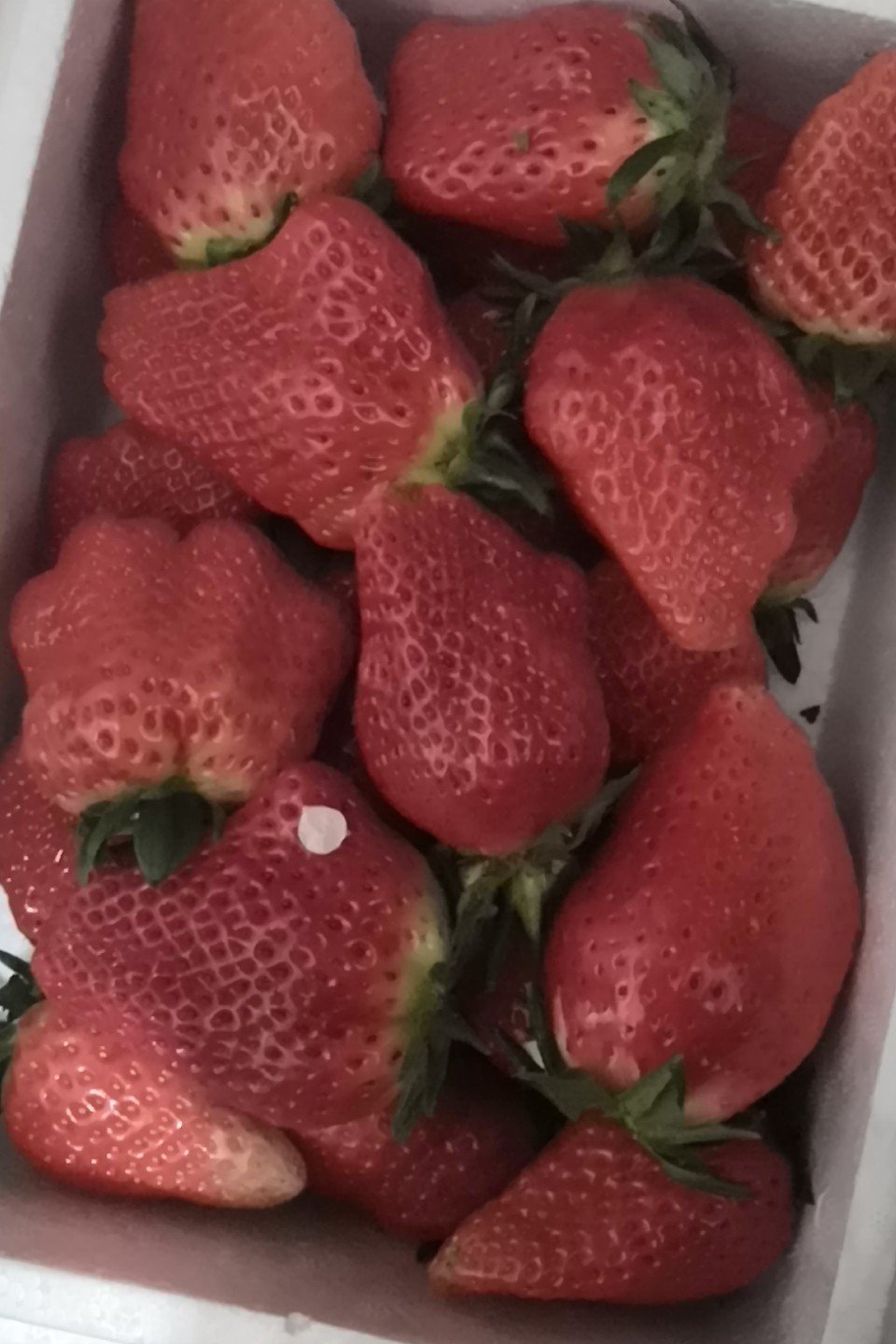 采摘草莓的季节